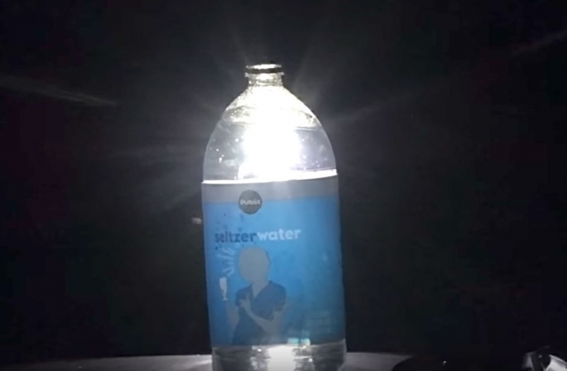 An American kills 4 thousand mosquitoes every night, using his dog as bait