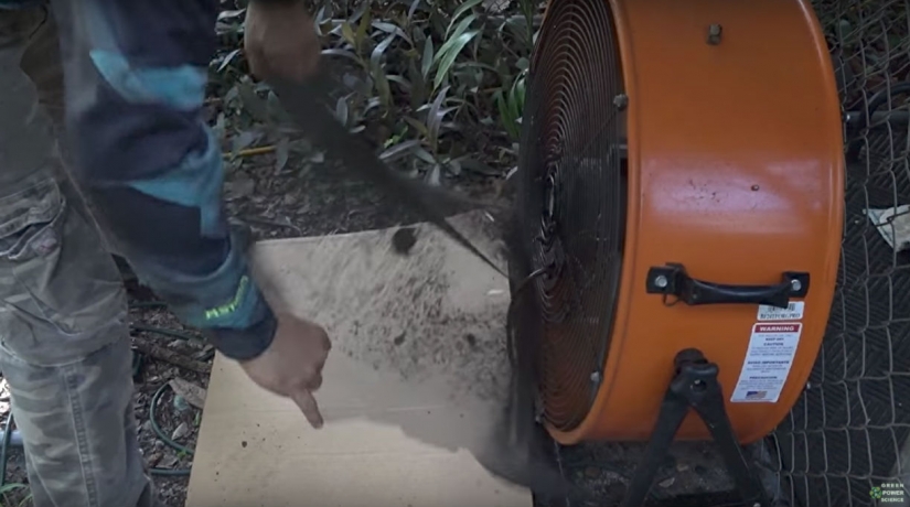 An American kills 4 thousand mosquitoes every night, using his dog as bait