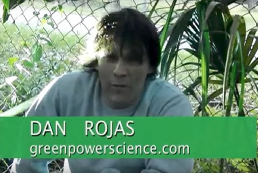 An American kills 4 thousand mosquitoes every night, using his dog as bait