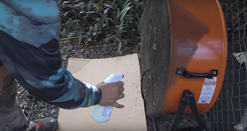 An American kills 4 thousand mosquitoes every night, using his dog as bait