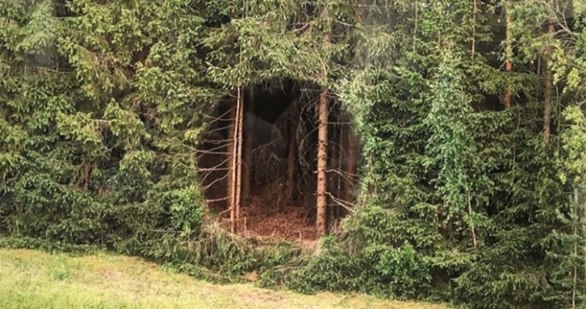 An ideal hole appeared in the forest thicket near an Estonian village and puzzled netizens An ideal hole appeared in the forest thicket near an Estonian village and puzzled netizens