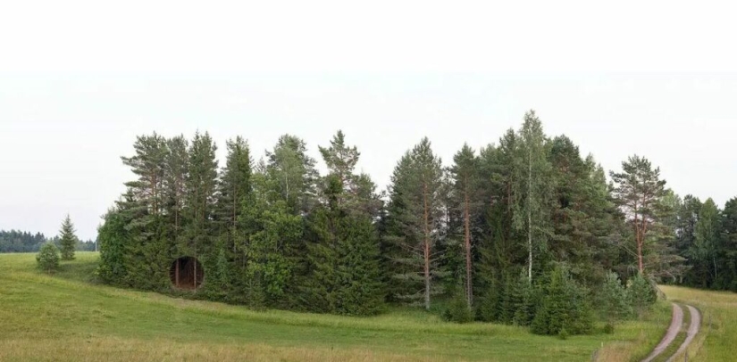 An ideal hole appeared in the forest thicket near an Estonian village and puzzled netizens An ideal hole appeared in the forest thicket near an Estonian village and puzzled netizens