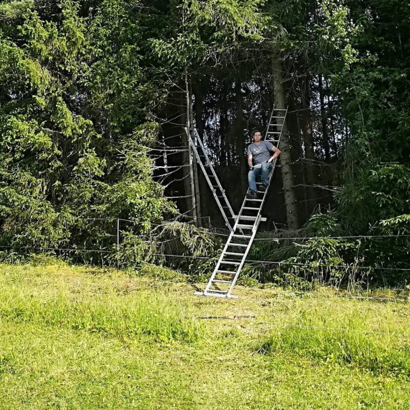 An ideal hole appeared in the forest thicket near an Estonian village and puzzled netizens An ideal hole appeared in the forest thicket near an Estonian village and puzzled netizens