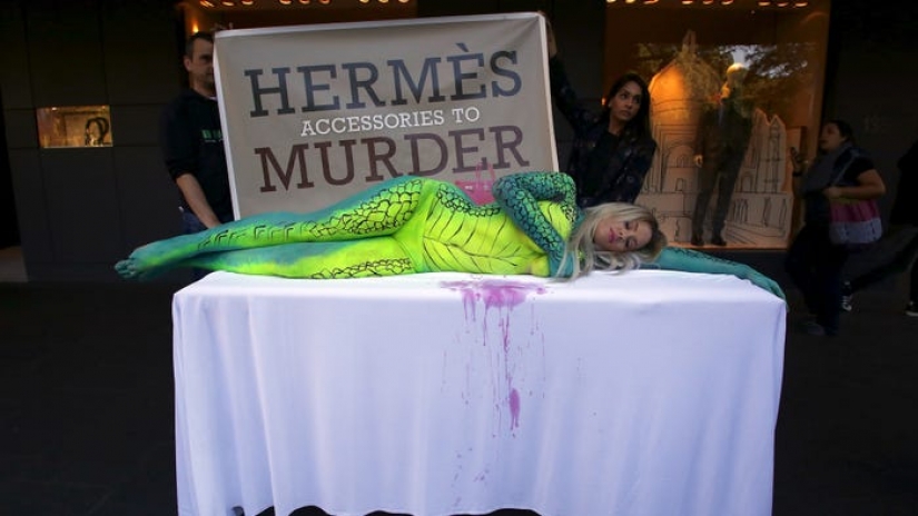 An Indonesian entrepreneur makes leather boots from leftover chicken legs An Indonesian entrepreneur makes leather boots from leftover chicken legs