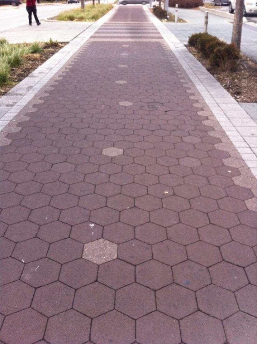 And so it will come down: photos that will upset not only perfectionists