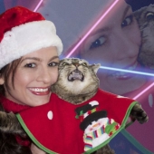 Animals that hate Christmas and New year