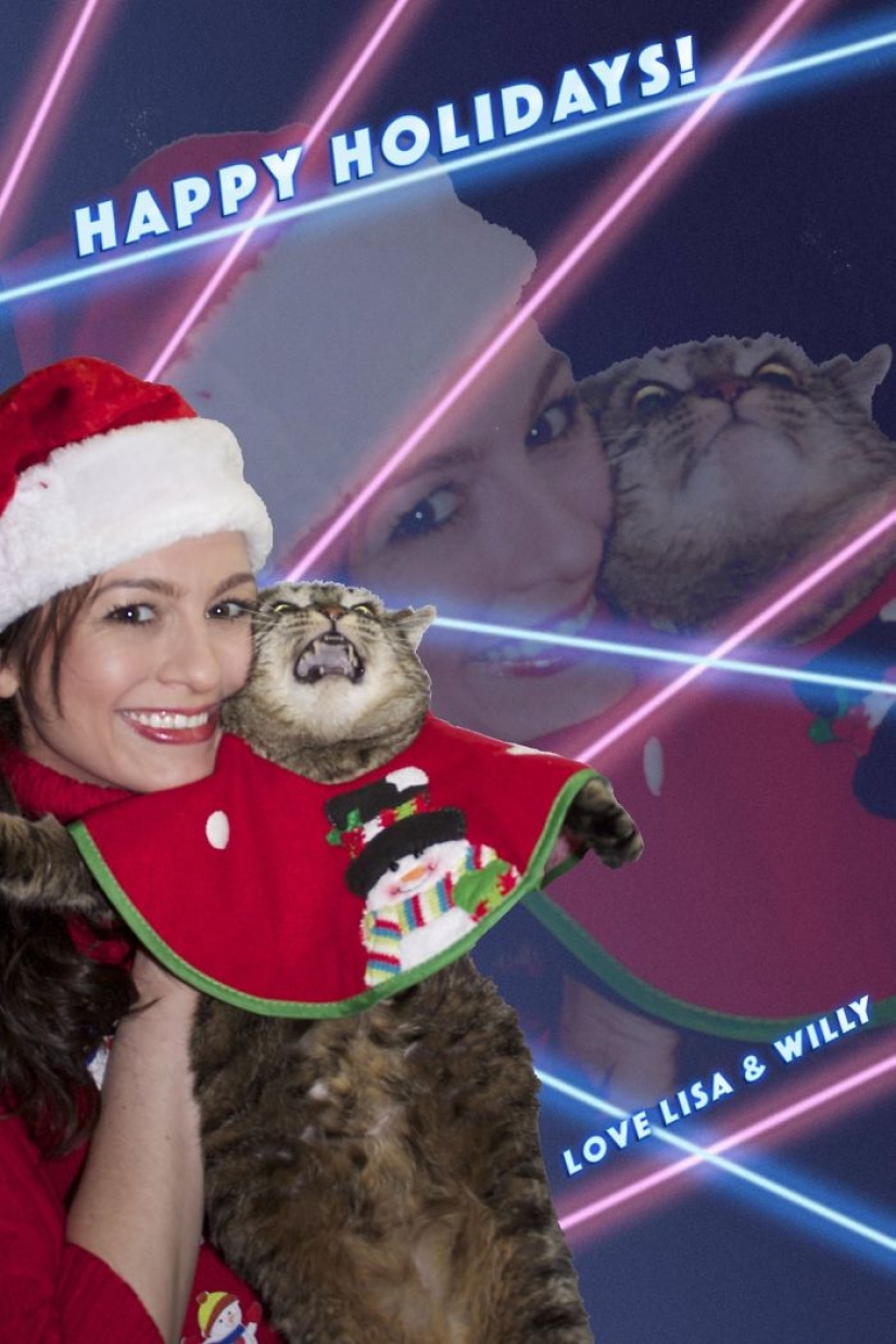 Animals that hate Christmas and New year