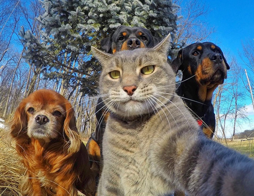 Animals that will teach you how to take selfies Animals that will teach you how to take selfies