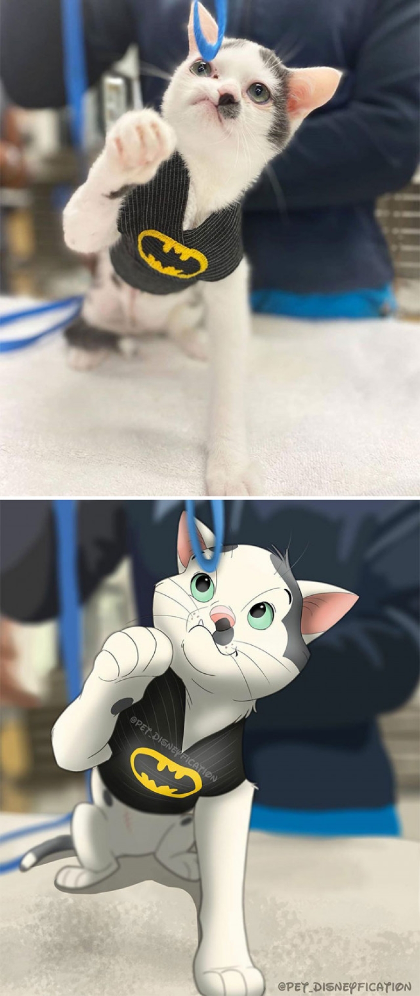 Artista holandés convierte animales en personajes de Disney