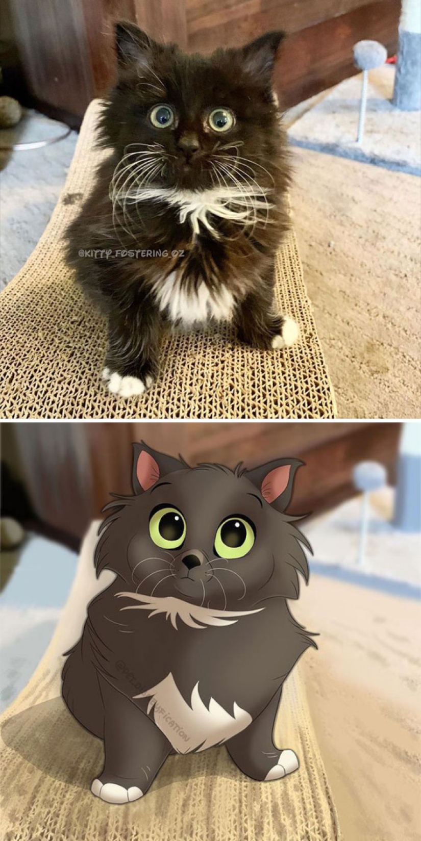 Artista holandés convierte animales en personajes de Disney