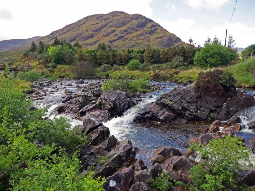 As in different countries of the world are struggling with a hangover