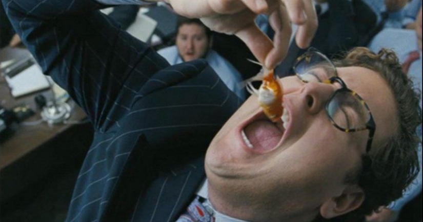 Asesino del acuario, o no ofendas a los más pequeños Asesino del acuario, o no ofendas a los más pequeños