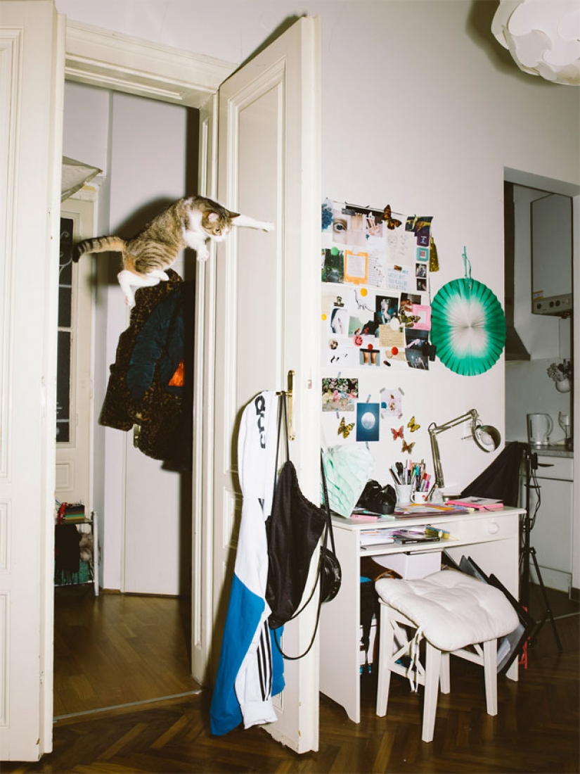 Austrian photographer takes a flying cats