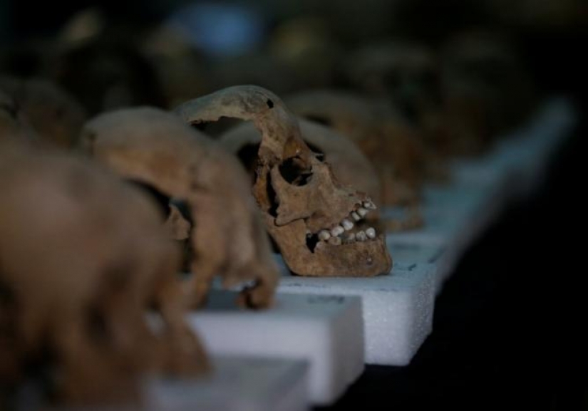 Aztec tower made of human skulls discovered in Mexico City