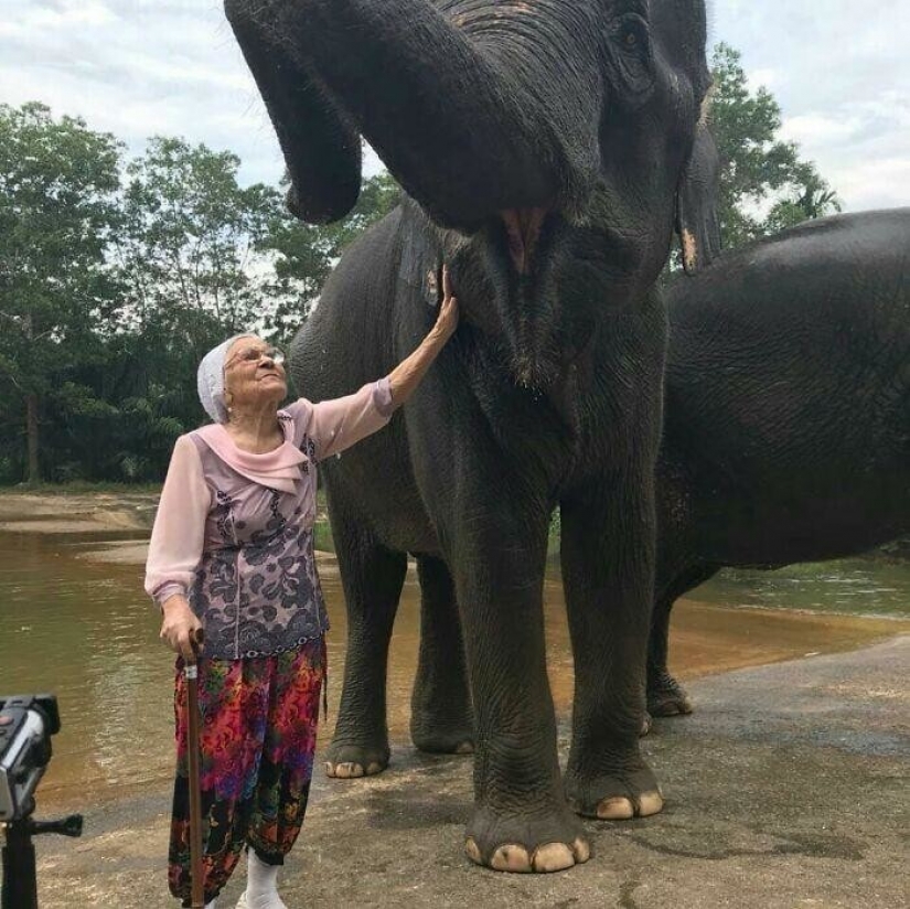 Baba Lena, who was walking alone: the story of 91-year-old adventurer from Krasnoyarsk Baba Lena, who was walking alone: the story of 91-year-old adventurer from Krasnoyarsk