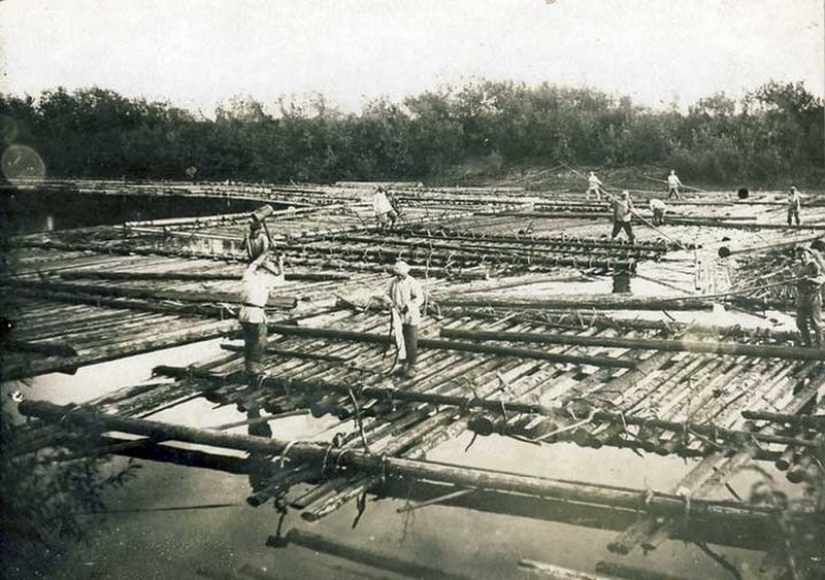 Belyany: quizás las embarcaciones fluviales más singulares del mundo Belyany: quizás las embarcaciones fluviales más singulares del mundo