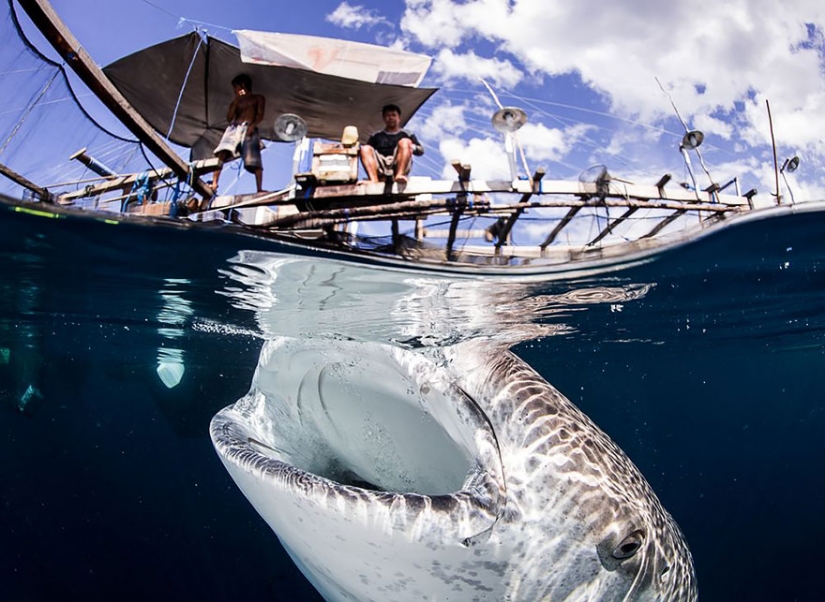 Between two worlds: on these polupodvizhnym photo shows what awaits you behind the curtain of the water