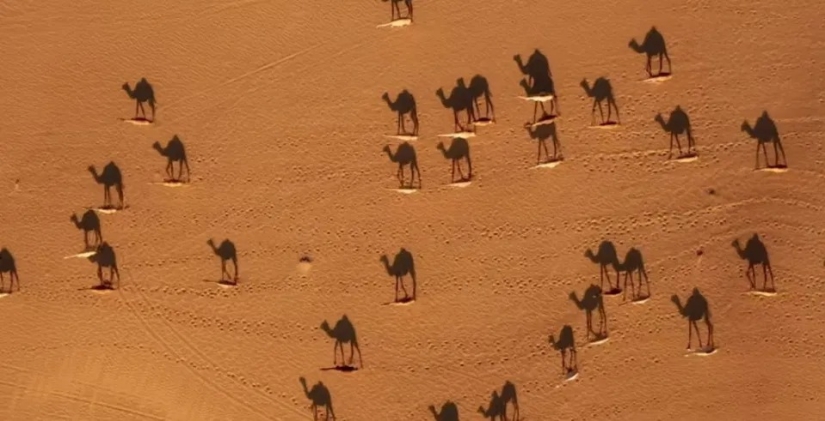 Big se ve desde la distancia: ganadores de los Drone Photo Awards 2020