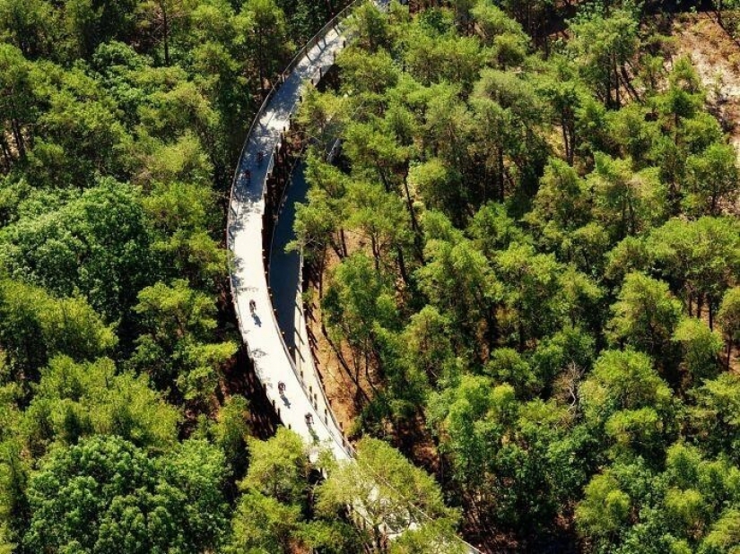 Bike path in Belgium allows you to ride through the forest at a height of 10 meters above the ground Bike path in Belgium allows you to ride through the forest at a height of 10 meters above the ground