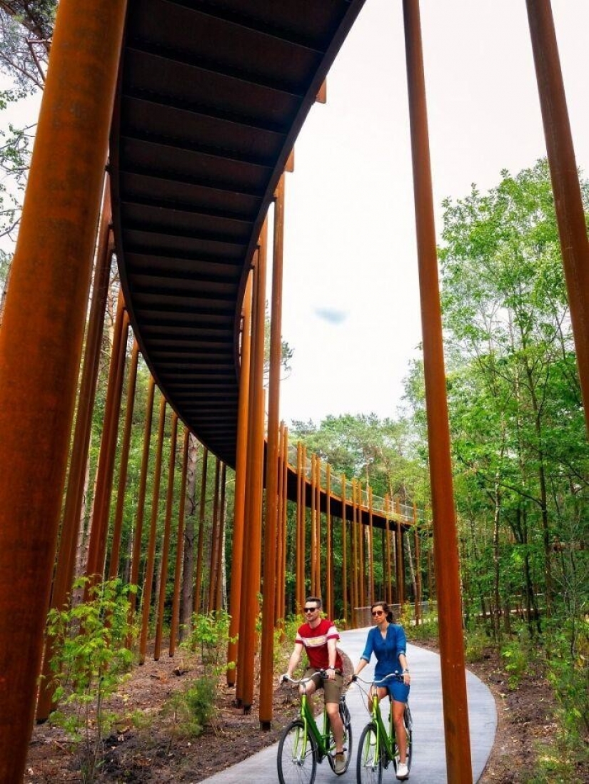 Bike path in Belgium allows you to ride through the forest at a height of 10 meters above the ground Bike path in Belgium allows you to ride through the forest at a height of 10 meters above the ground