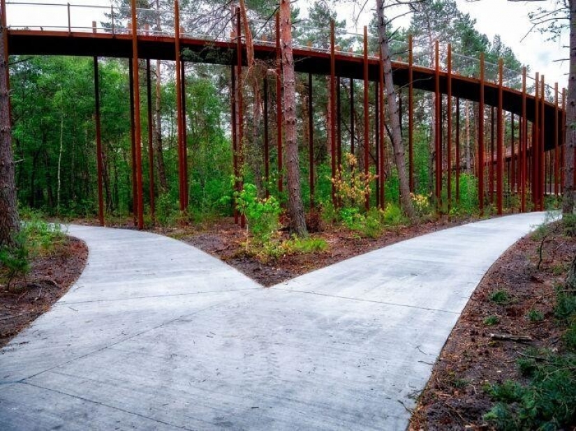 Bike path in Belgium allows you to ride through the forest at a height of 10 meters above the ground Bike path in Belgium allows you to ride through the forest at a height of 10 meters above the ground