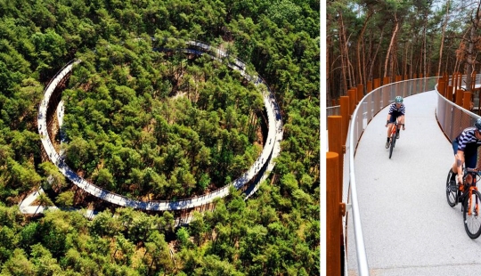 Bike path in Belgium allows you to ride through the forest at a height of 10 meters above the ground