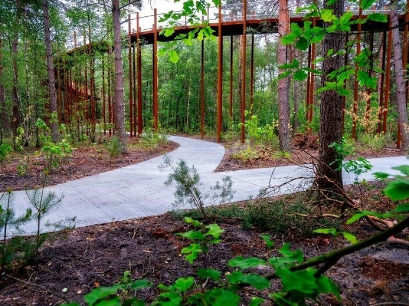 Bike path in Belgium allows you to ride through the forest at a height of 10 meters above the ground Bike path in Belgium allows you to ride through the forest at a height of 10 meters above the ground