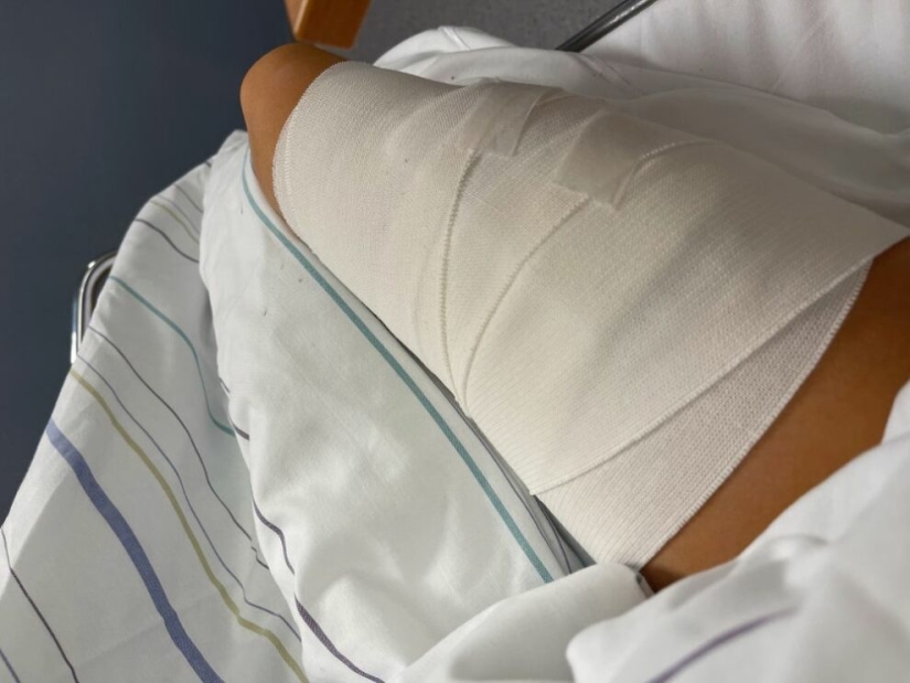 Blogger noruego casi muere durante una selfie con un cerdo doméstico Blogger noruego casi muere durante una selfie con un cerdo doméstico