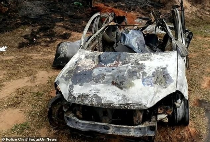 Brazilian pensioner burned 700 hectares of protected forest and killed hundreds of animals because of an insurance scam