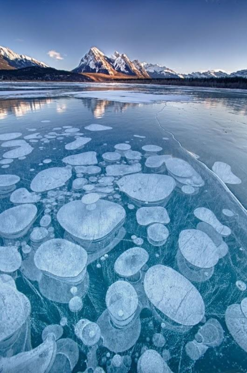 Burbujas de aire congeladas en el lago