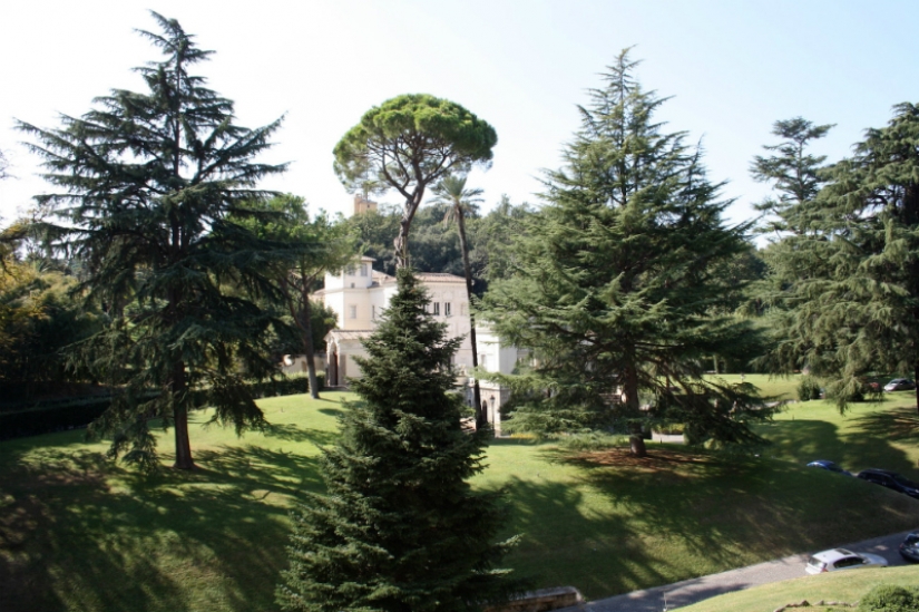 Caminar alrededor del Vaticano: ¿qué hay detrás de las paredes de un estado independiente en el centro de Roma