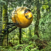 Canadian hotel for those who do not have ceased to dream of a tree house