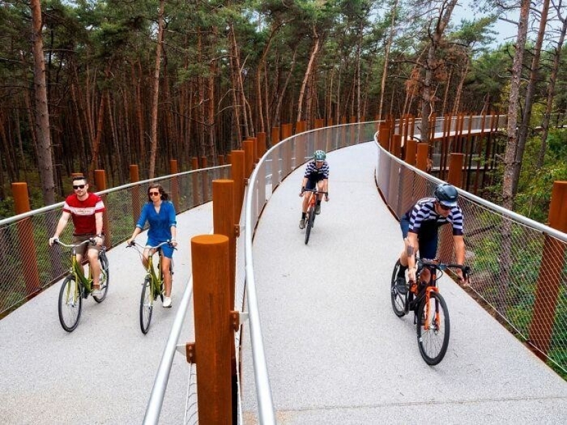 Carril bici en Bélgica le permite viajar a través del bosque a una altura de 10 metros sobre el suelo Carril bici en Bélgica le permite viajar a través del bosque a una altura de 10 metros sobre el suelo