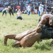 Catch the enemy by the balls: kirkpinar, Turkish national sport