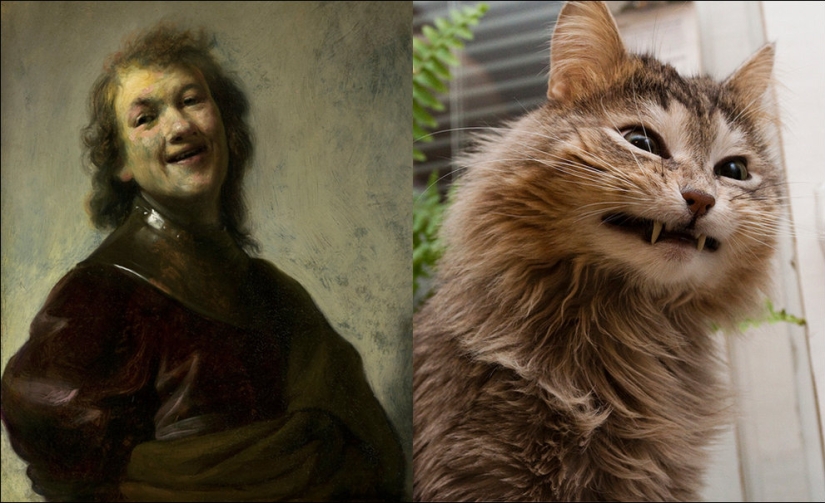 Cats and art Cats and art