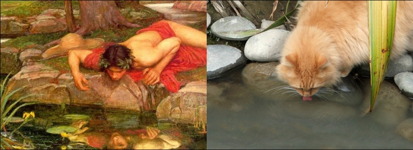 Cats and art Cats and art