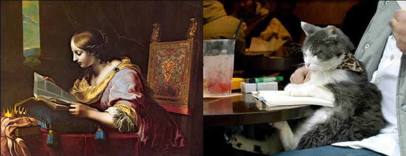 Cats and art Cats and art