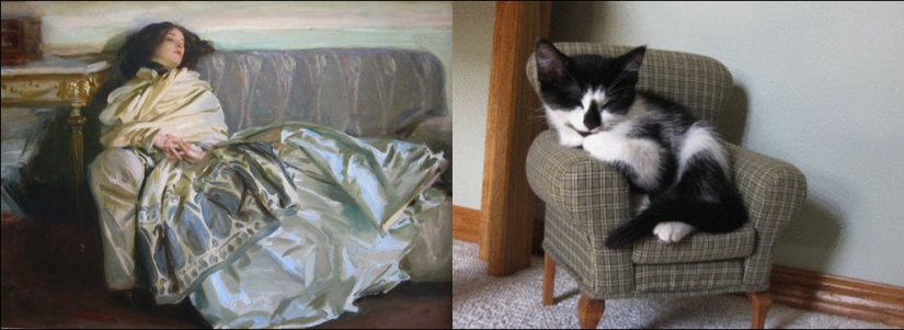 Cats and art Cats and art