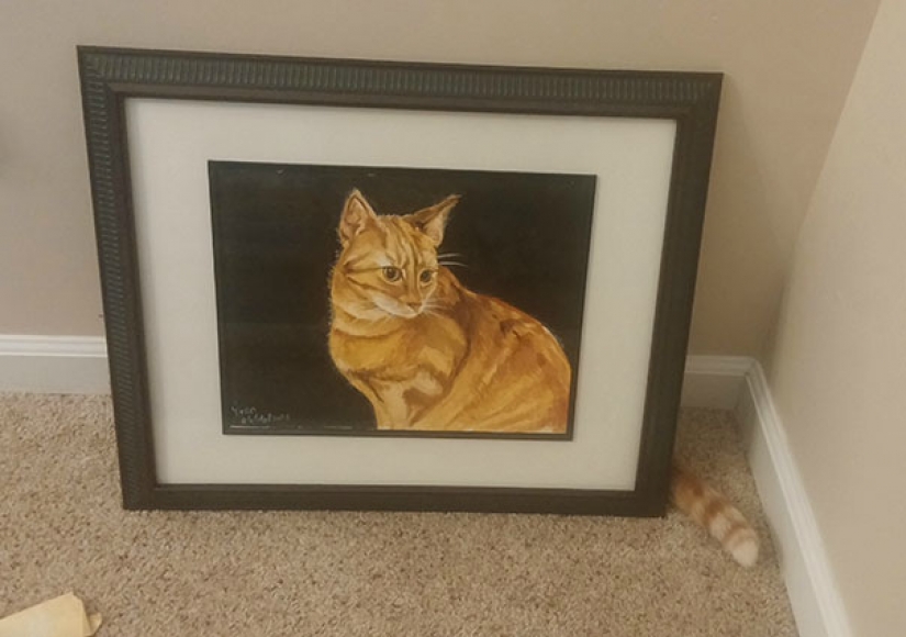 Cats that perfectly disguise themselves Cats that perfectly disguise themselves