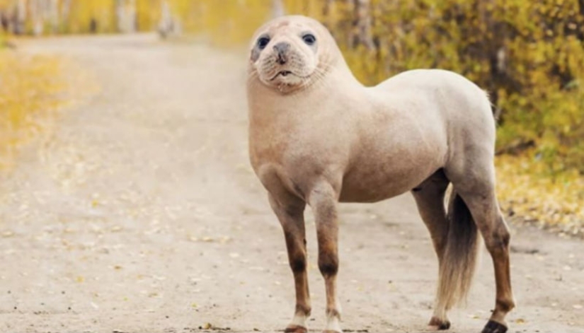 Chaikobul, simianolev and sovorys: the artist makes crazy animal hybrids Chaikobul, simianolev and sovorys: the artist makes crazy animal hybrids