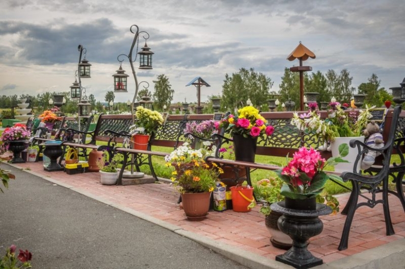 Children's Playground, a zoo, a pleasure coach, and other entertainment Novosibirsk crematorium Children's Playground, a zoo, a pleasure coach, and other entertainment Novosibirsk crematorium