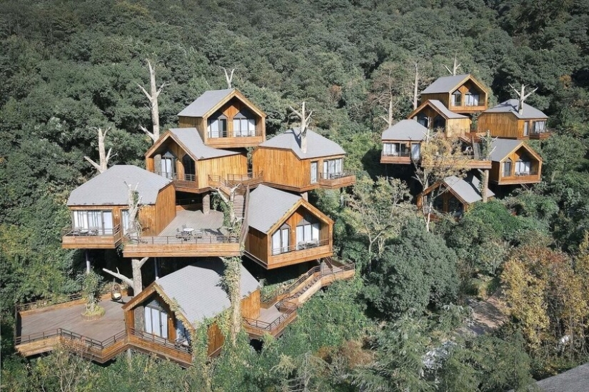 China built a magical hotel from tree houses China built a magical hotel from tree houses