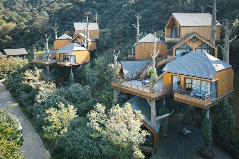 China built a magical hotel from tree houses China built a magical hotel from tree houses