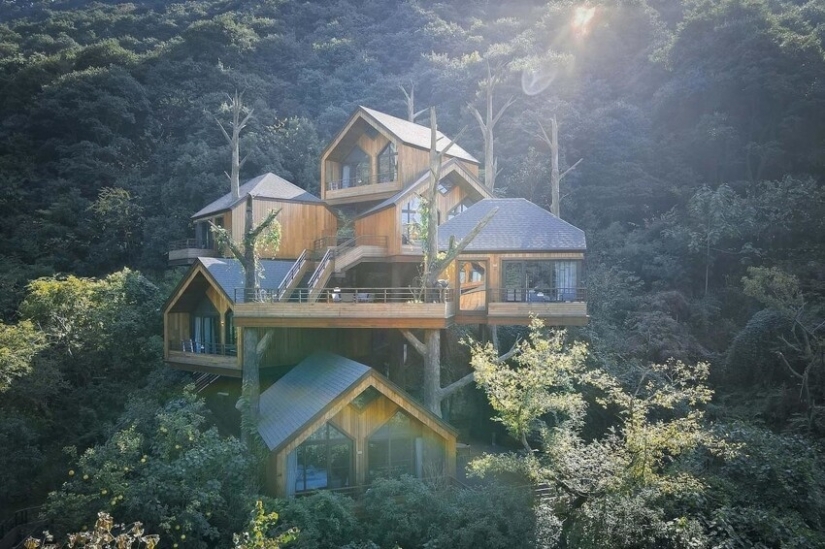 China built a magical hotel from tree houses China built a magical hotel from tree houses