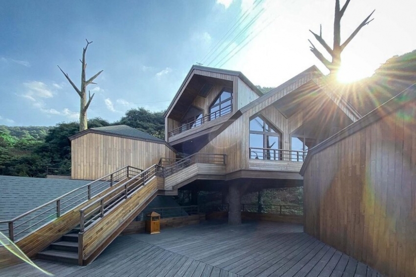 China built a magical hotel from tree houses China built a magical hotel from tree houses