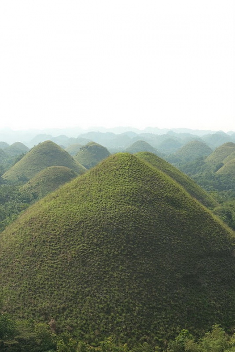 Chocolate Hills of Bohol Island Chocolate Hills of Bohol Island