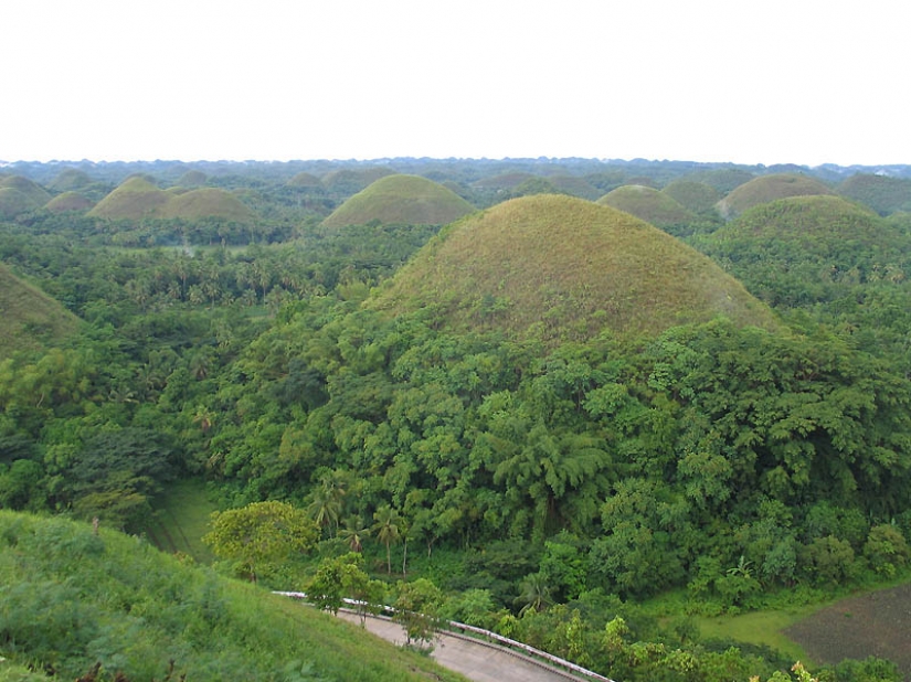 Chocolate Hills of Bohol Island Chocolate Hills of Bohol Island