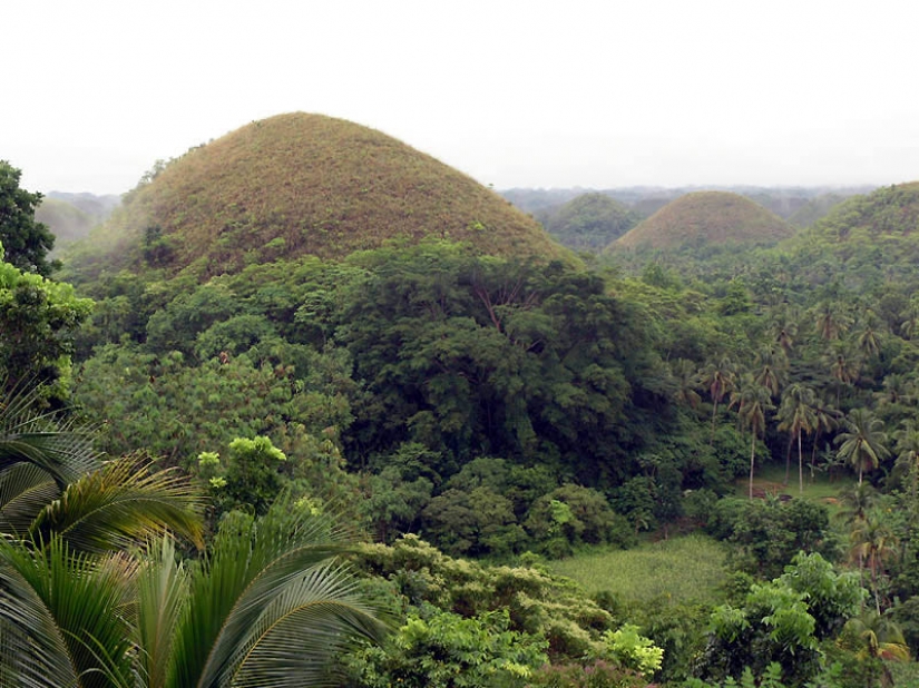 Chocolate Hills of Bohol Island Chocolate Hills of Bohol Island