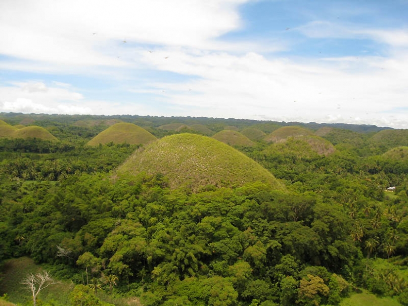 Chocolate Hills of Bohol Island Chocolate Hills of Bohol Island