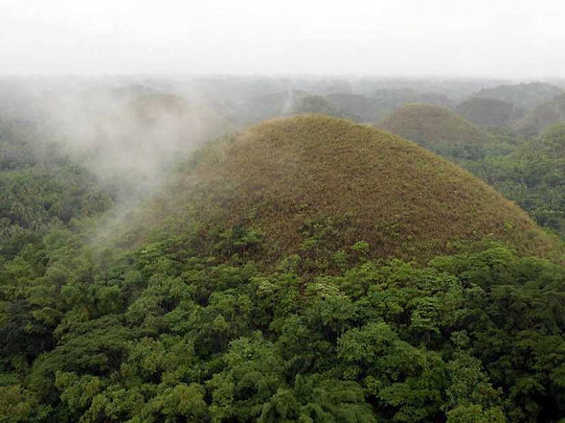 Chocolate Hills of Bohol Island Chocolate Hills of Bohol Island